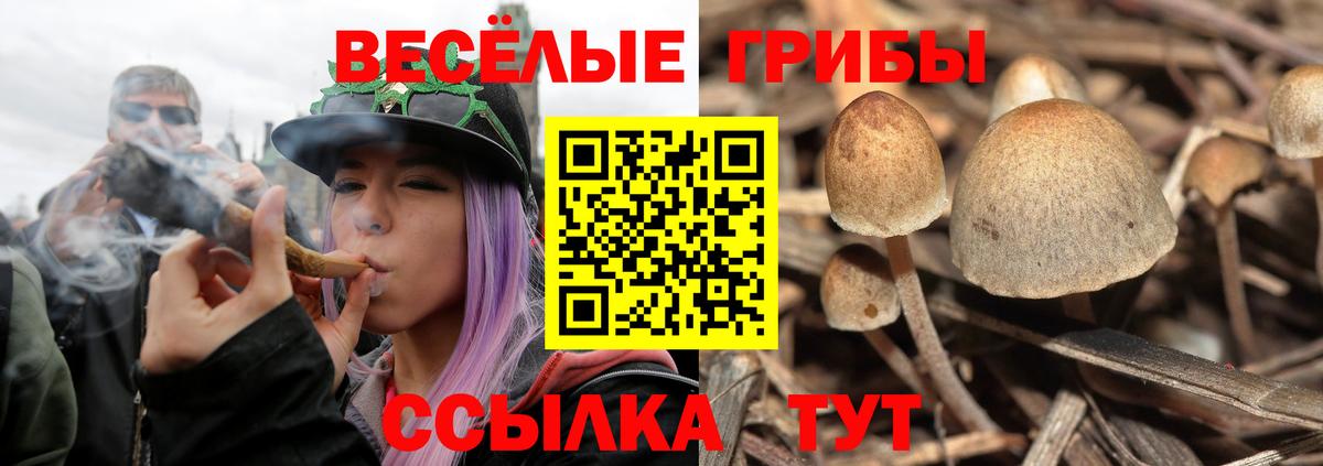 Галлюциногенные грибы Cubensis  Галлюциногенные грибы Psilocybe  Малгобек  Вход с VPN 